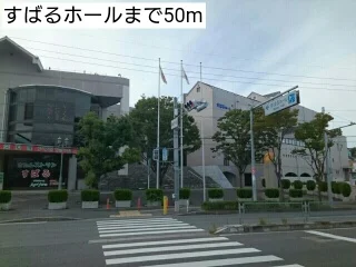 すばるホールまで50m