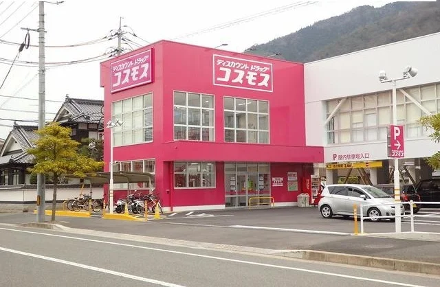 コスモスまで700m