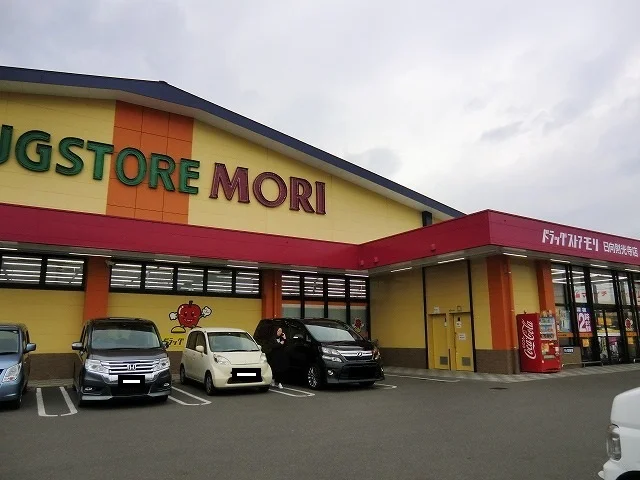 ドラッグモリストア財光寺店まで850m