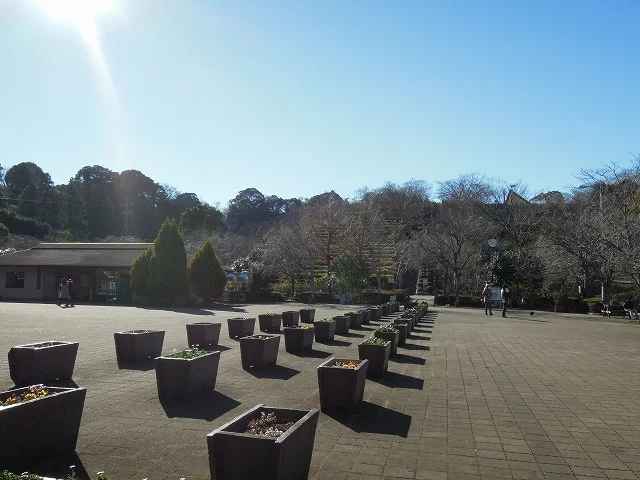 清水船越堤公園まで1110m