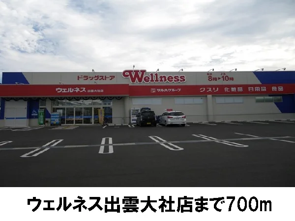 ウェルネス出雲大社店まで700m