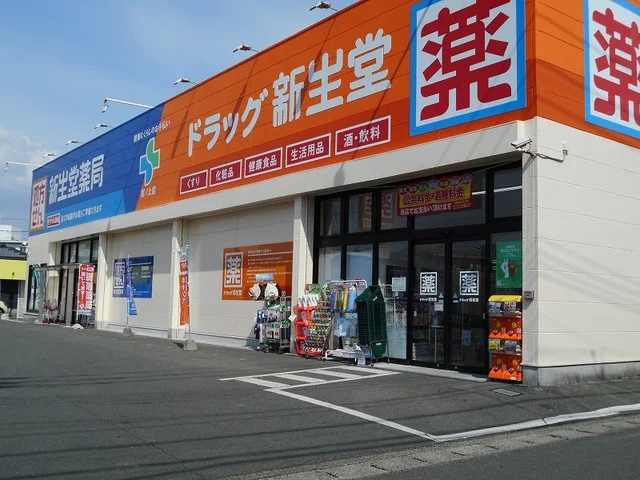 ドラッグ新生堂尾ノ上店まで300m