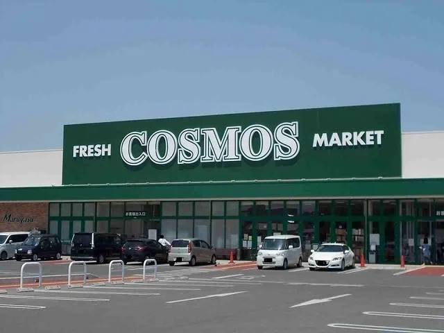 コスモス一身田店まで1100m