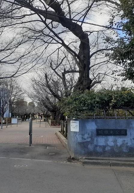 羽根木公園まで500m