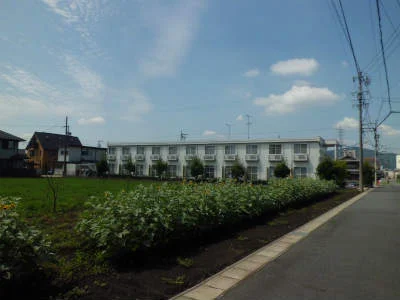 窓外には、豊かな緑が広がります。