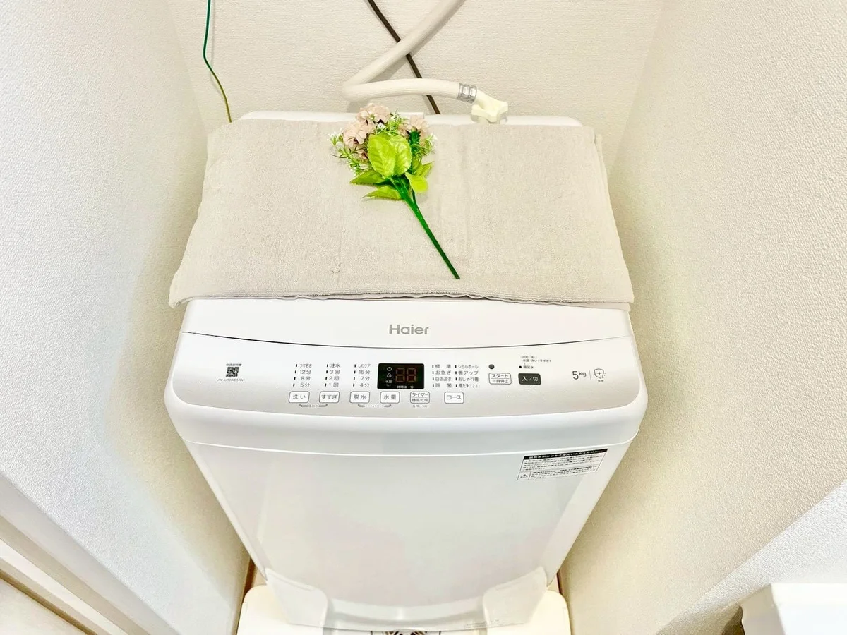 ※撮影用の観察植物・食器調理器具・雑貨類等はございません。※写真は現況優先