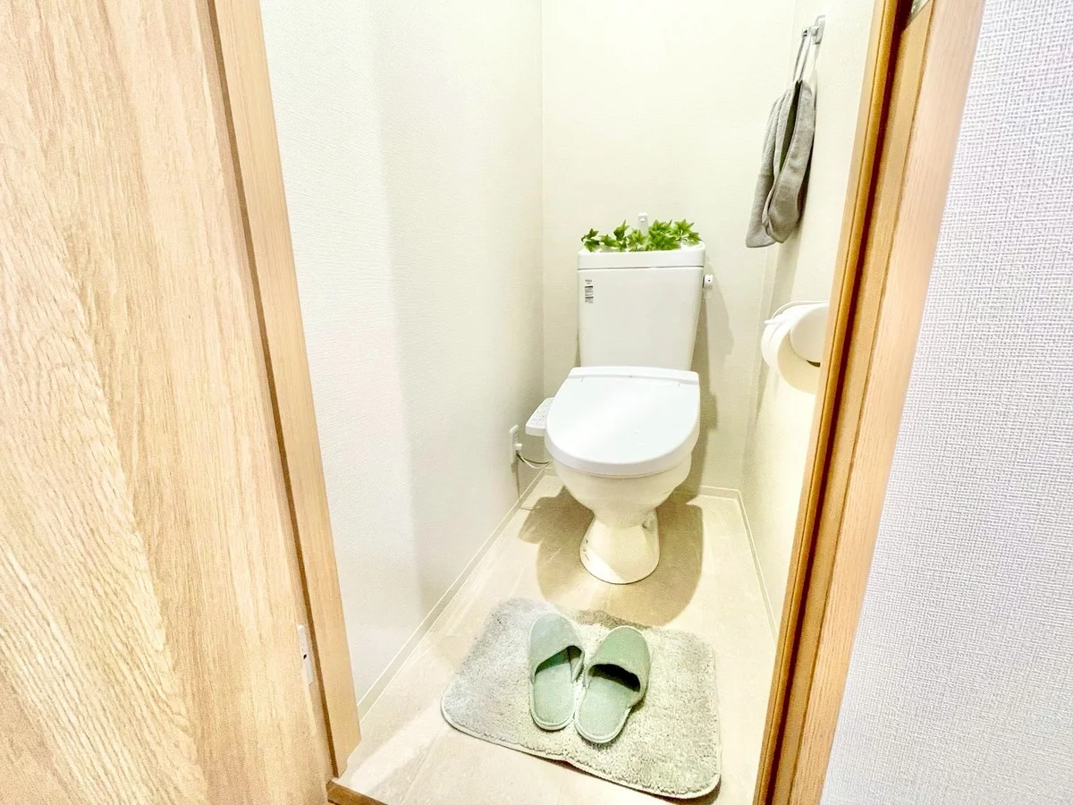 ※撮影用の観察植物・食器調理器具・雑貨類等はございません。※写真は現況優先