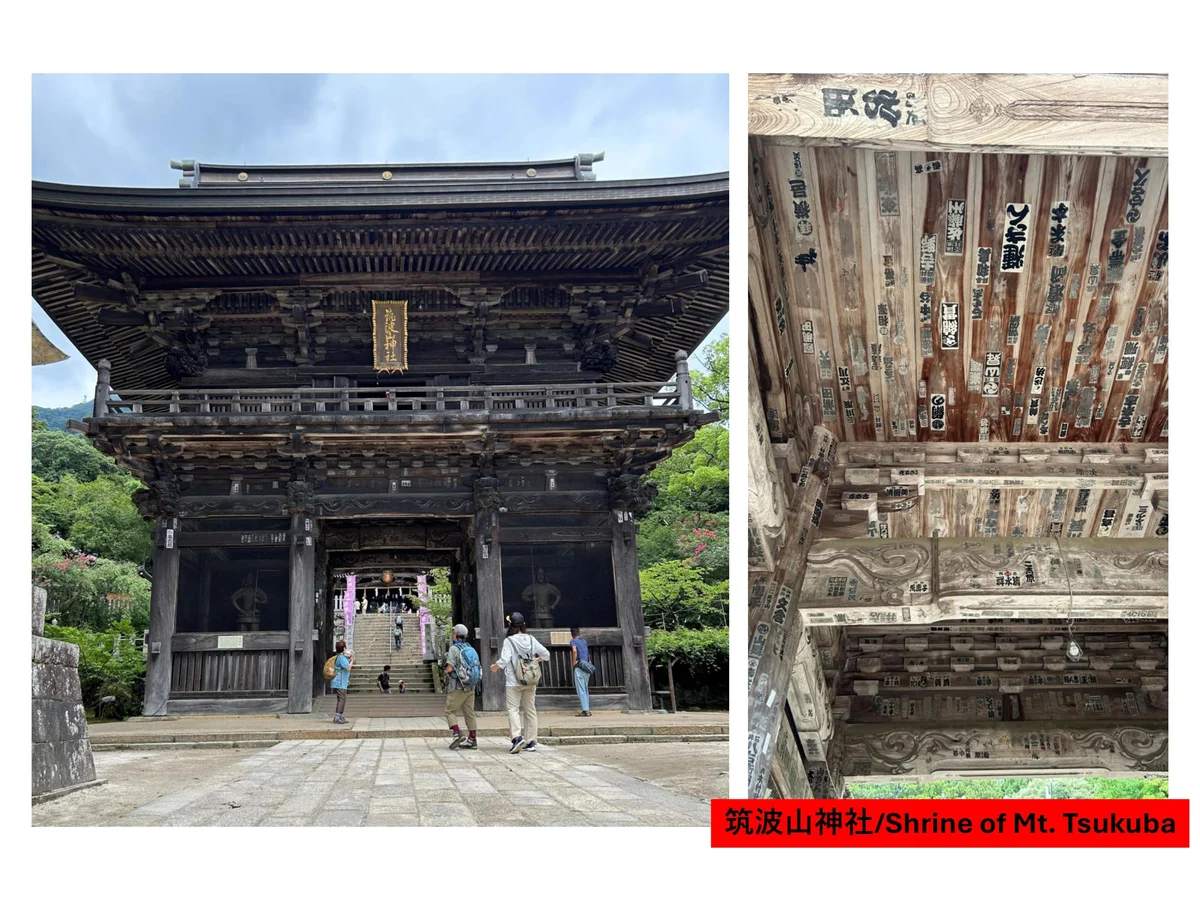 観光　筑波山神社