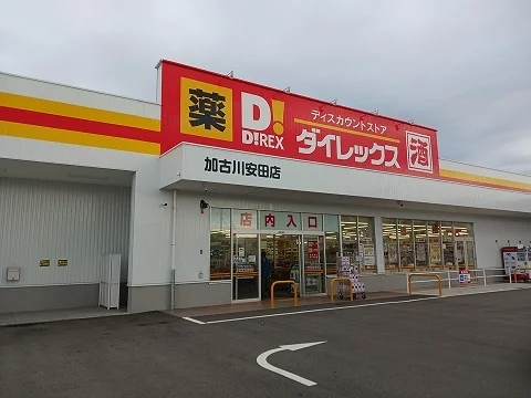ダイレックス安田まで750m