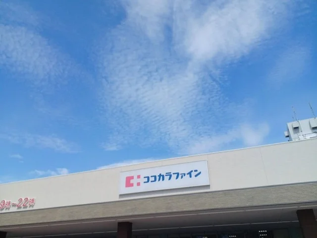 ココカラファイン様まで650m