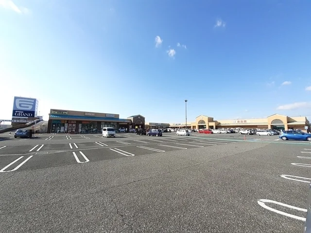 くすりのレデイ 野市店まで1100m