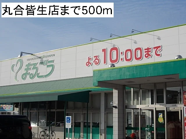 丸合皆生店まで500m