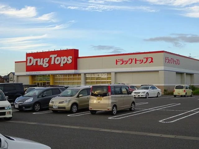 ドラッグトップスかめだ三條岡店まで600m