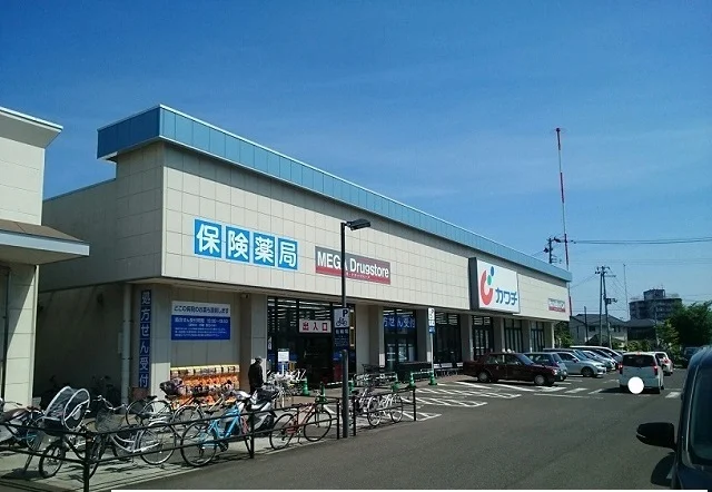 カワチ薬品宮の杜店まで1000m