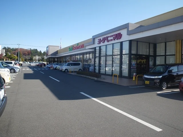 ヨークベニマル 戸祭店まで950m