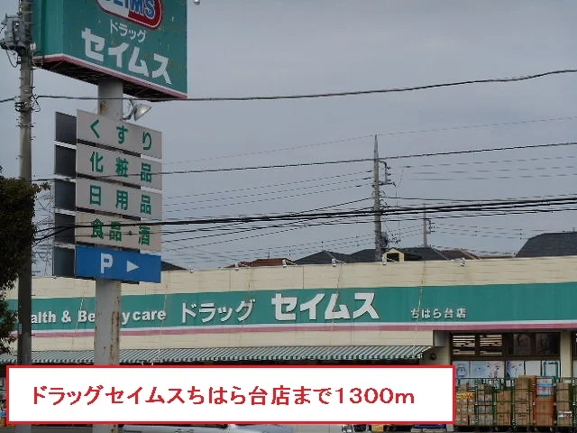 ドラッグセイムスちはら台店まで1300m