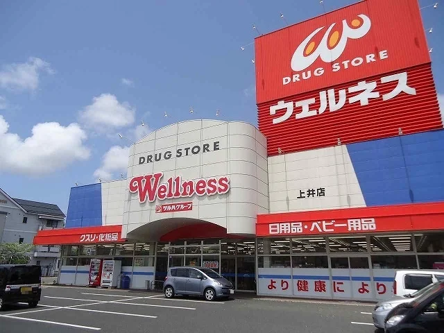 ウェルネス上井店まで100m