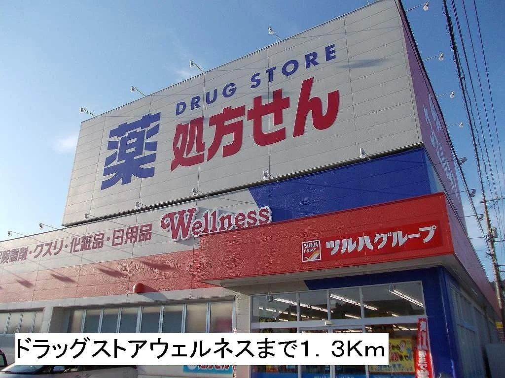ドラッグストアウェルネスまで1300m