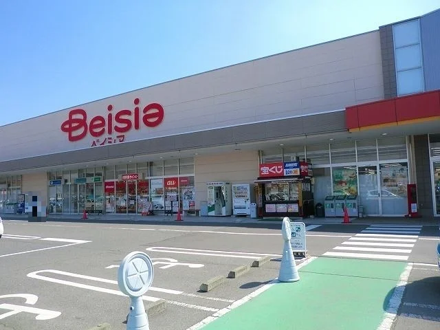 ベイシア渋川こもち店まで1100m