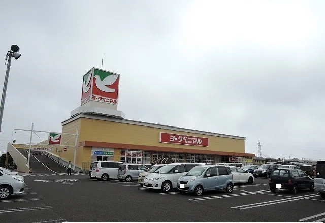 ヨークベニマル遠見塚店まで1100m