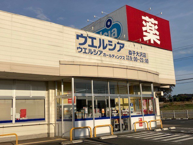 ウエルシア益子大沢店まで1000m