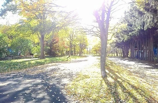 屯田西公園まで200m