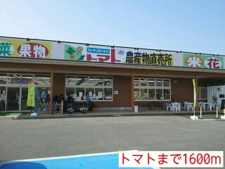 トマトまで1600m