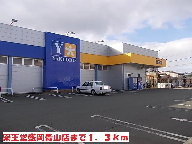 薬王堂盛岡青山店まで1300m