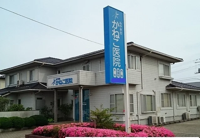 みやぎ台かねこ医院まで200m