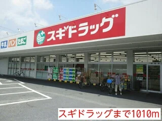 スギドラッグまで1010m