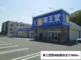 薬王堂宮城松島店まで980m