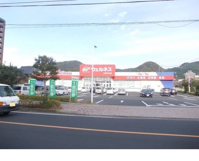 ウェルネス大田中央店まで2500m