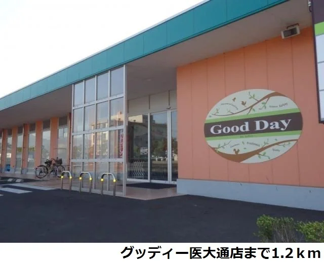 グッディー医大通店まで1200m