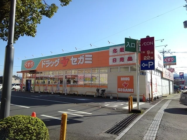 ドラッグセガミ日田店まで650m