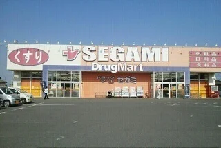 ドラッグマートセガミさんまで800m