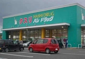 ハシドラッグ南福島店まで600m