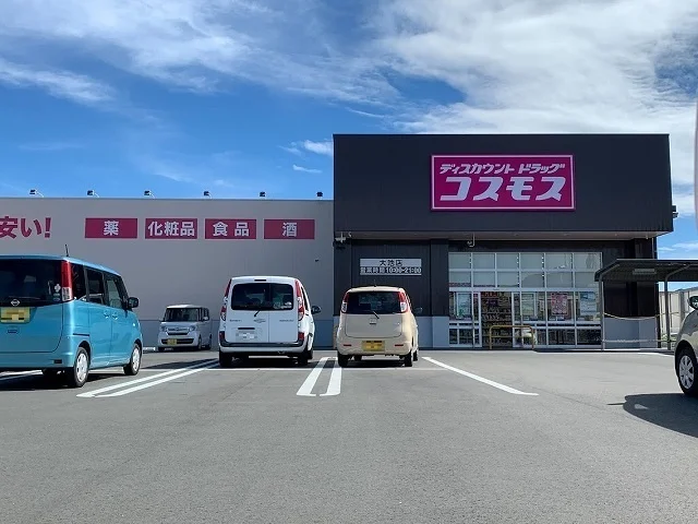 コスモス 大池店まで1500m