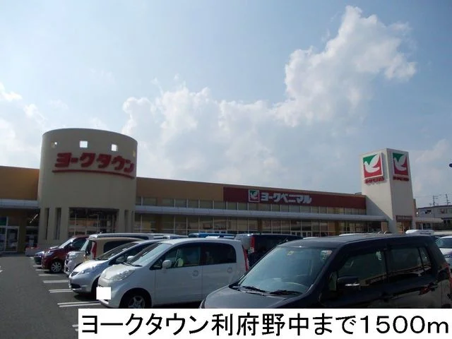 ヨークタウン利府野中店まで1500m