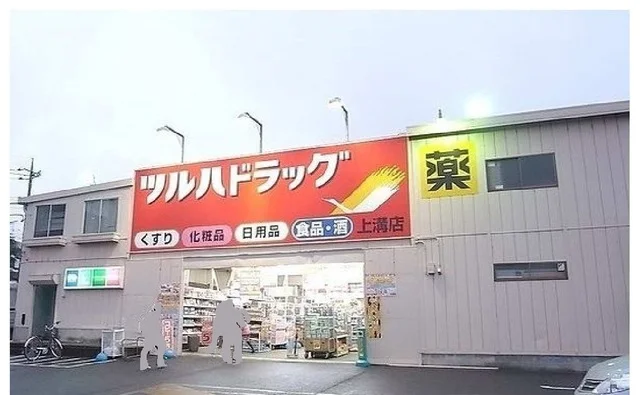 ツルハドラッグ上溝店まで500m