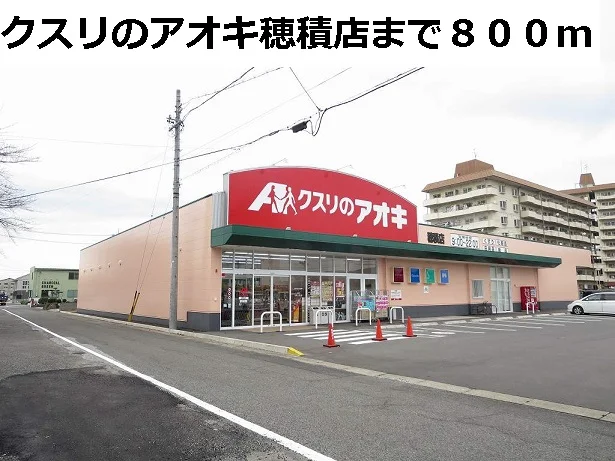 クスリのアオキ穂積店まで800m