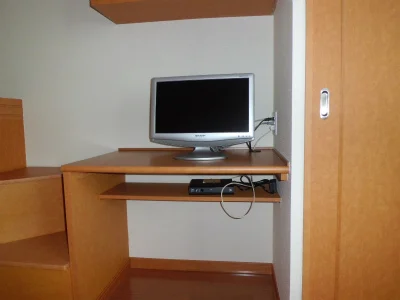 テレビとレオネット。