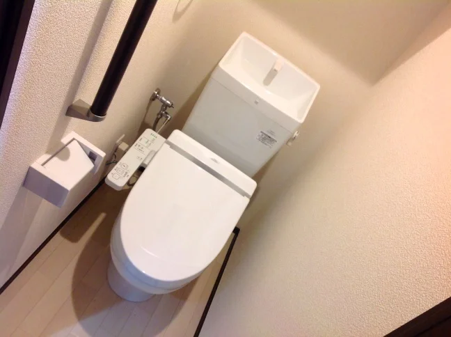 綺麗ですね！