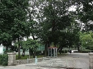 松葉公園まで400m