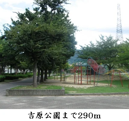 吉原公園まで290m