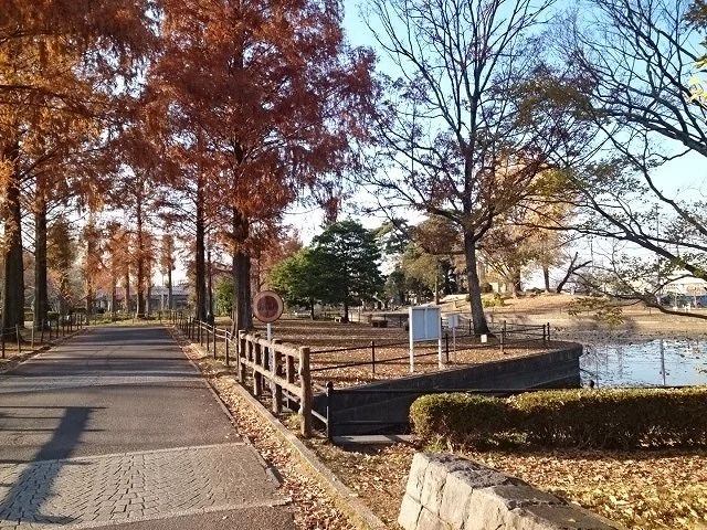 不動岡公園まで1100m
