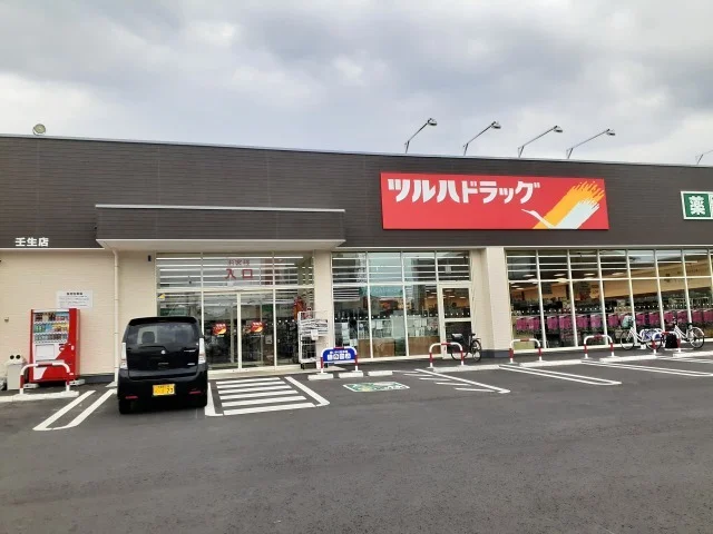 ツルハドラッグ壬生店まで800m
