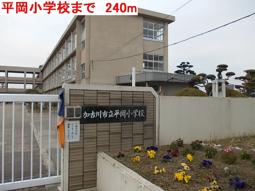 平岡小学校まで240m
