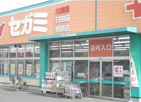 ドラッグ　セガミまで500m