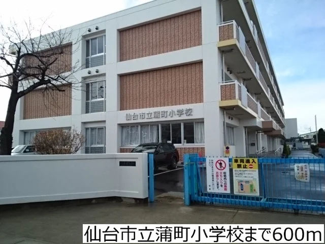 仙台市立蒲町小学校まで600m