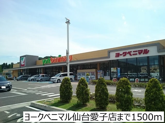 ヨークベニマル仙台愛子店まで1500m